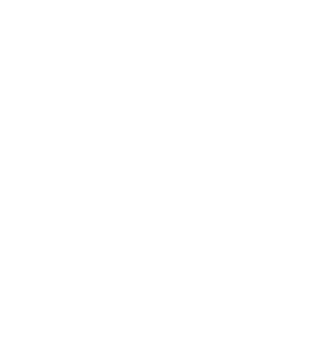 Norse Group Logo