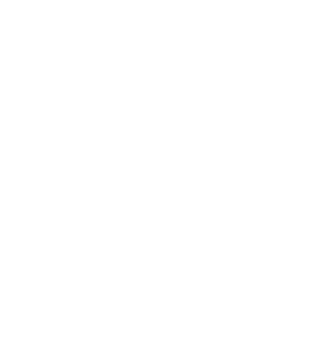 Norse Group Logo