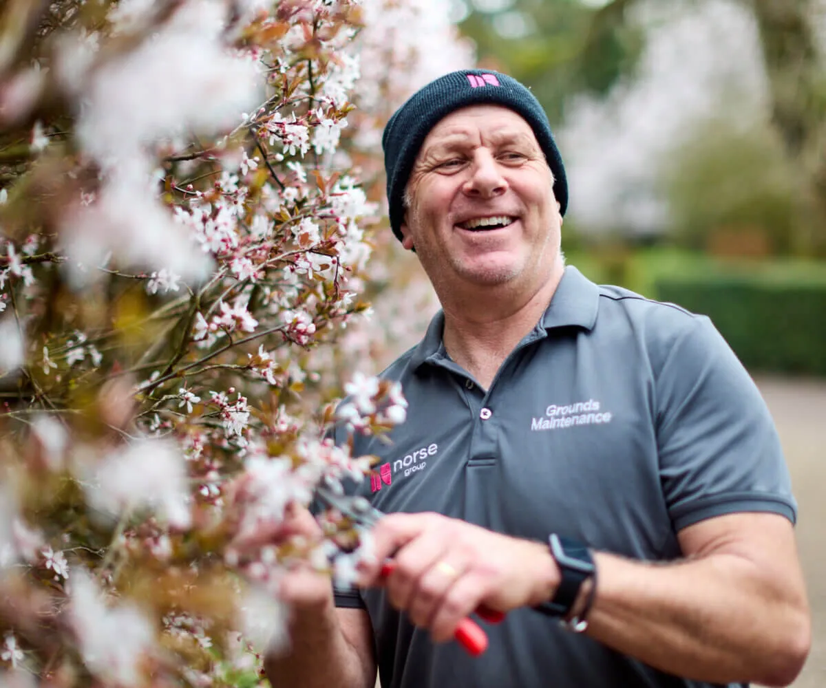 Grounds & tree maintenance